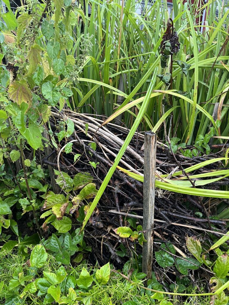 Totholzhaufen aus Ästen und Zweigen in einem naturnahen Garten